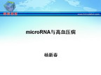 [IHF2009]microRNA与高血压病